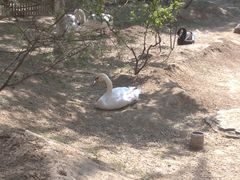 -北京市海淀外国语实验学校