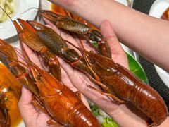 -新光酒家·河豚·海鲜·蟹料理(浦东店)