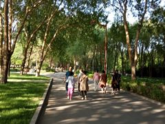 -长春公园(普阳街道)