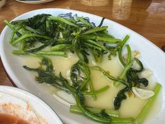 -遇龙河大樟树农家乐