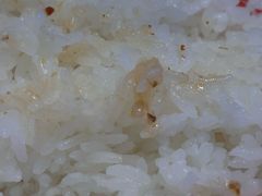 -雅佳神话·麻辣烤鱼(新街口店)