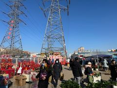 -中环花鸟鱼虫市场