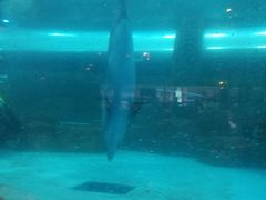 -波塞冬旅游度假区