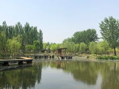 -东郊湿地公园