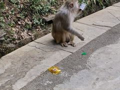 -黔灵山公园