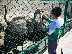 -新疆天山野生动物园