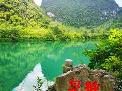 -靖西鹅泉风景区