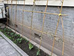 -中国蓝印花布馆