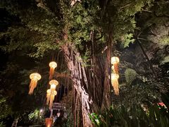-Coco Tam’s