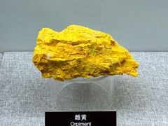 -甘肃地质博物馆