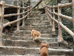 -黑龙潭风景区