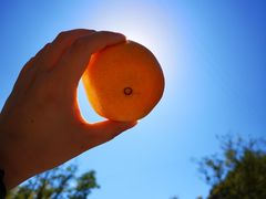 -北京东直门智选假日酒店