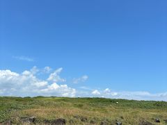 -涉地可支