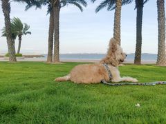 -黄金海岸环岛路