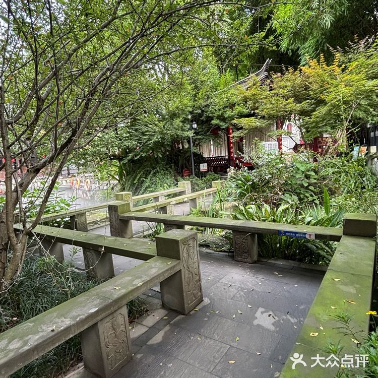 成都周末去哪玩?!来龙腾梵谷happy