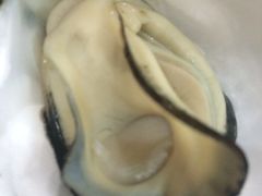 iphone_upload_pic-蚝专家(北滘店)