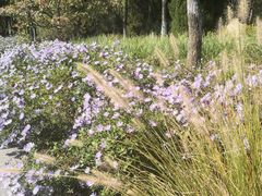 -永定河休闲森林公园