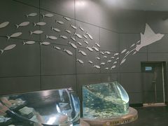 -锦艺城海洋馆