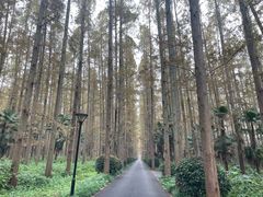 -上海怡沁园度假酒店