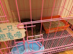 -猫的天空之城概念书店(杭州南宋御街店)