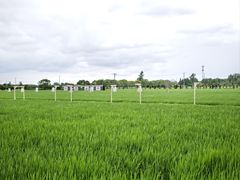 -嘉北郊野公园