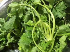 -黔府豆米火锅野菜馆(南马店)