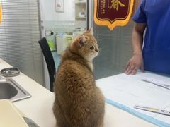 -美美宠物诊疗中心·异宠·骨科(滨江东信分院)