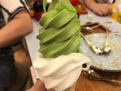 双拼冰激凌-王守财小山園