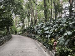 -南岗山公园