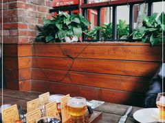-Boxing Cat Brewery拳击猫精酿啤酒馆(永福店)