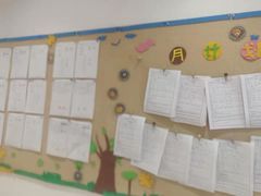 -金色雨林学习力培优(专注力提升)