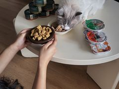 -帕帕拉兹宠物(亚洲旗舰店)