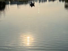 -洋湖国家湿地公园