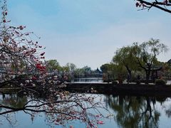 -无锡蠡湖国家湿地公园-蠡园