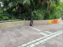 -九龙公园