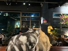 -咖法森林·咖啡  酒吧(天河店)