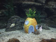 -南昌海洋公园