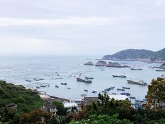 -枸杞岛