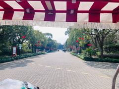 -上海海湾国家森林公园