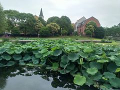 -美兰湖景区