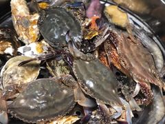 -富临港·蒸汽海鲜·手抓海鲜·炒菜(栈桥店)