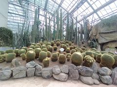-南山植物园
