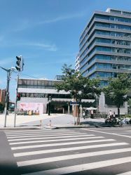 -日本普洛莱茜尔美睫美甲