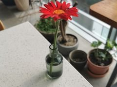 -半山腰·云南菜(侨福芳草地店)