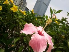 -地王国际商会中心