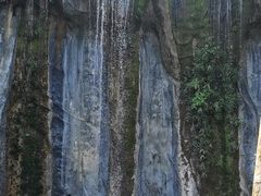 -西双版纳原始森林公园