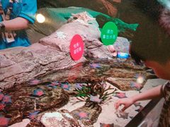 -沈阳海洋探索中心