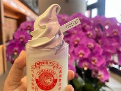 -义顺牛奶公司(板樟堂店)