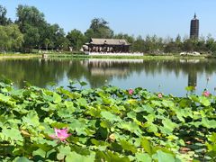 -西海子公园