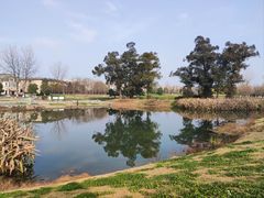 -两河城市森林公园